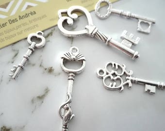 Set no. 6 ☆ / x 5 silver metal key / shapes mixtes☆