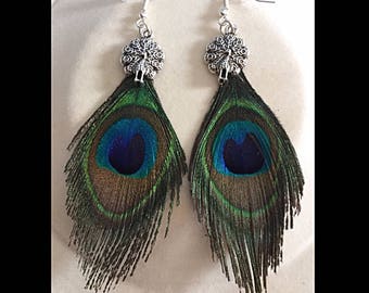 Earrings peacock feathers and Peacock charm