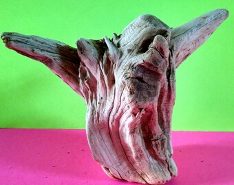 Driftwood / Arts & Crafts / DIY Supply / Beach Decor / Home Decor / Reptile Tanks / Jewelry Display
