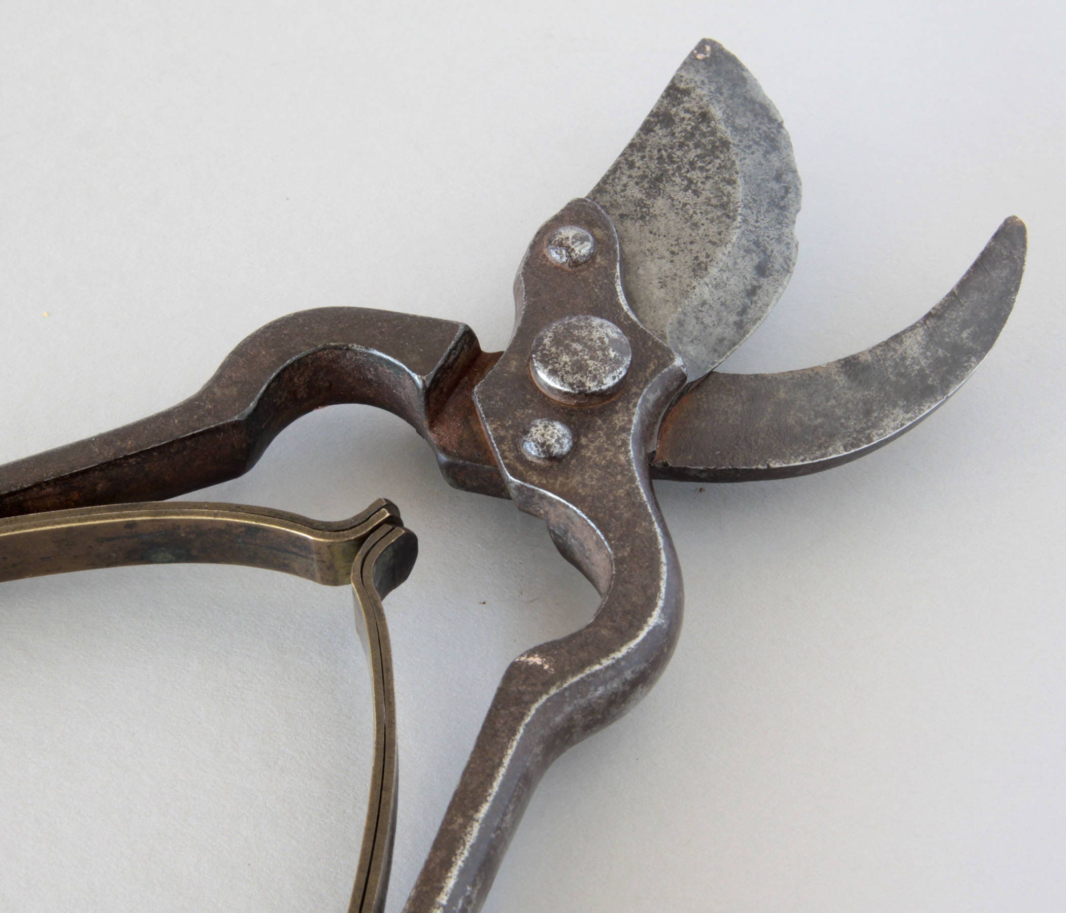 Vintage pruning shear secateurs gardening tool
