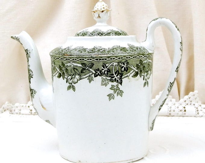 Antique French Victorian Ceramic Coffee Pot with Ivy and Wild Rose Pattern in Dark Green by Saint Amand et Hamage Estival, Pottery China Pot