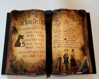 Black Cat Curse and Life Potion Spell Book Hocus Pocus
