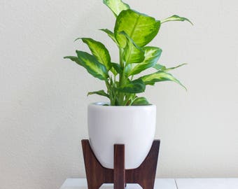 FREE SHIPPING: Tabletop Bell Mid-century Modern Planter, Plant Stand with 5.5" Bell Ceramic - Walnut