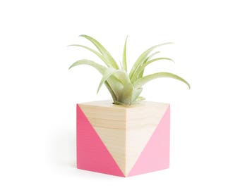 Pink Wood Pot, FREE SHIPPING, Air Plant Planter, Girlfriend Gifts, Housewarming Gift, Wood Air Planter, Modern Pot, Minimilistic Planter