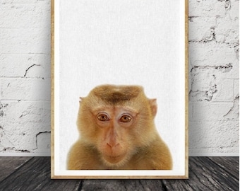 Animal monky, impression de singe,, imprimable affiche grand format, Jungle africaine, noir et blanc moderne Minimal, Baby Shower