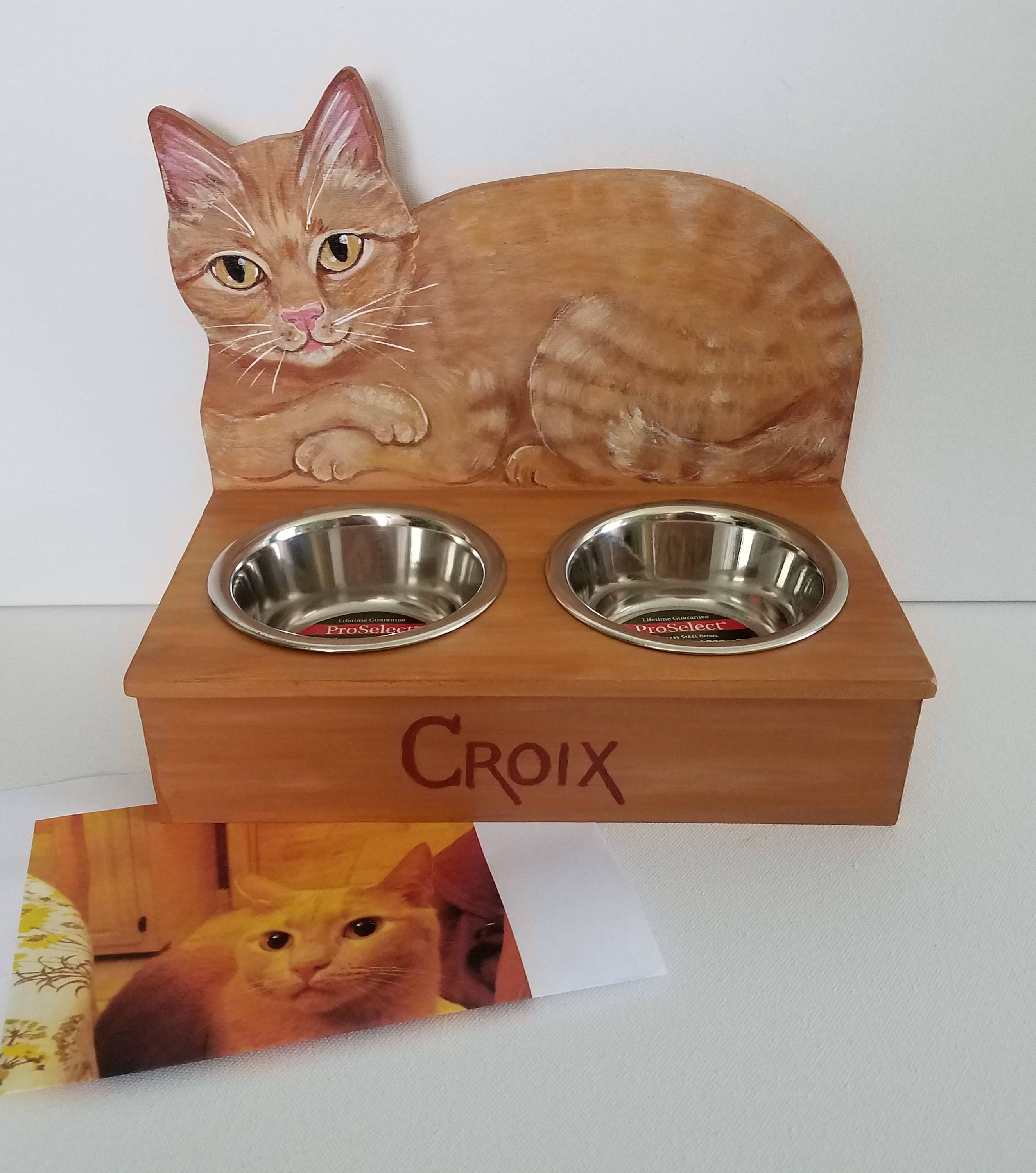 Cat Food Dish Custom Cat Food Bowl Custom Cat Portrait