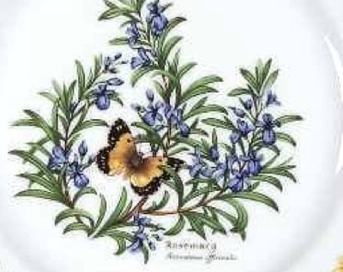 Royal Worcester Fine Porcelain Vintage Decorative Plate, Worcester Herbs, Tableware, Rosemary, Replacement Dish