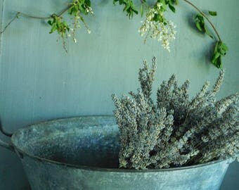 French zinc basin Vintage zinc bowl with handles Galvanized basin Vintage zinc garden planter Industrial decor