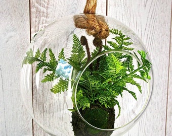 Sphere Hanging Terrarium with Faux Fern PA299FS