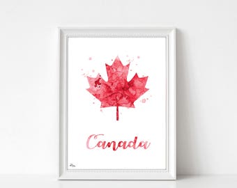 Illustration decoration, gift for mother father Canada symbol maple leaf Canada illustration, watercolor art maple leaf, Canada