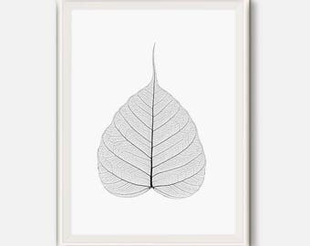 Modern Wall Art, Botanical Print, Skeleton Leaf Print, Skeleton Leaves Art, Skeletonized leaves, Minimalist Art, Black and white, Nature art