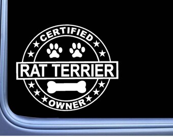 Certified Rat Terrier L287 Dog Sticker 6" decal
