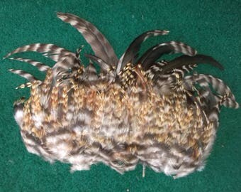 Rooster feathers, There is over 110 pieces. Cruelty free