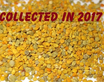 Bee Pollen collected in Spring, 2017! Natural, Organic Bee Pollen collected in Latvia, SEASON 2017! 1,76oz (=50gr) Blütenpollen. Homemade