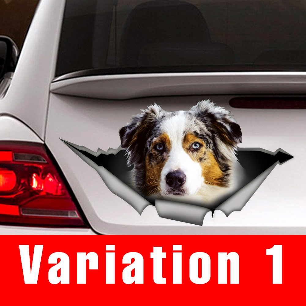 Australian Shepherd car decal Vinyl decal car decoration