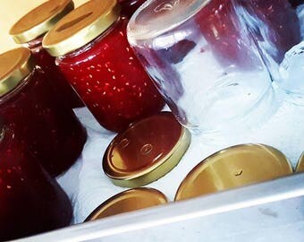 MANGO // RASPBERRY // JAM
