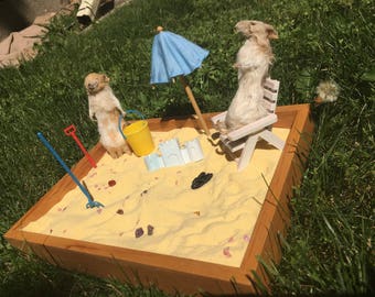 Beach Ratz Zen Garden