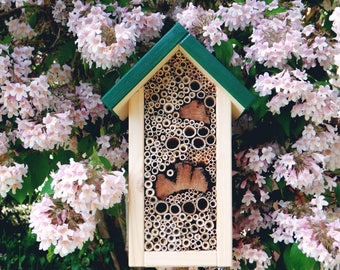 Insects-apartment hand-crafted made - green roof