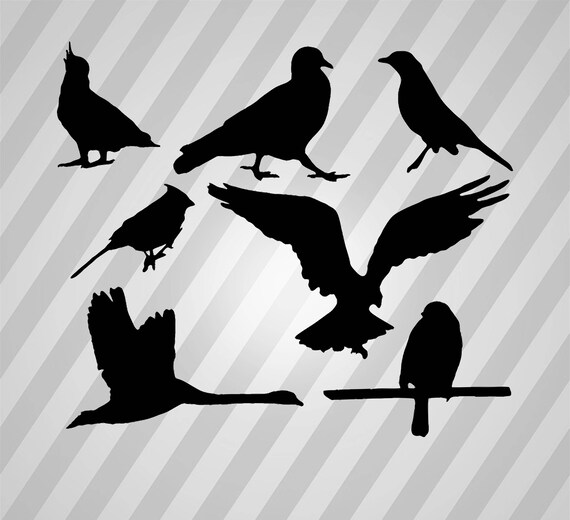 Download Bird silhouettes - Svg Dxf Eps Silhouette Rld RDWorks Pdf ...