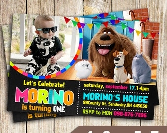 Secret Life of Pets Party, Secret Life of Pets Invitation, Secret Life of Pets Birthday, Secret Life of Pets Invite, The Secret Life of Pets