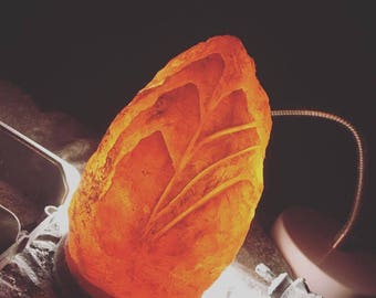 Hand Carved Himalayan Salt Lamp