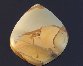 Wild Horse Jasper Cabochon