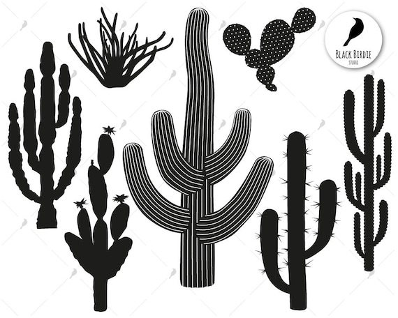 Free Free 237 Cactus Flower Svg Free SVG PNG EPS DXF File