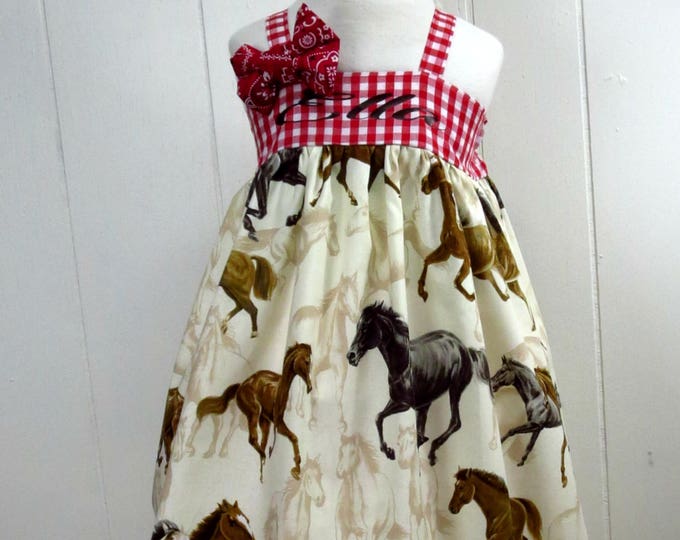 Barnyard Birthday - Cowgirl Dress - Cowgirl Birthday - Baby Western Dress - Baby Cowgirl Dress - Personalized Toddler Dress - 6 mo to 8 yrs