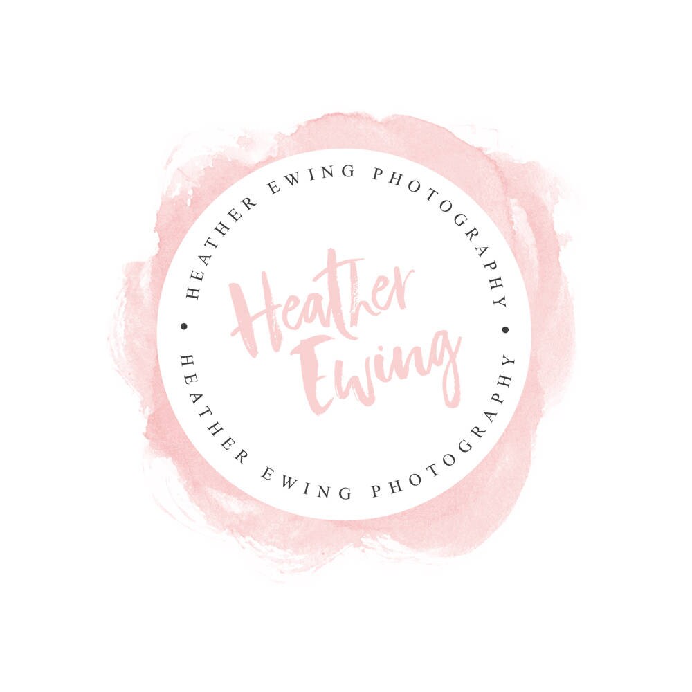 Blush Pink Logo Watercolor Logo Photography Logo Photography