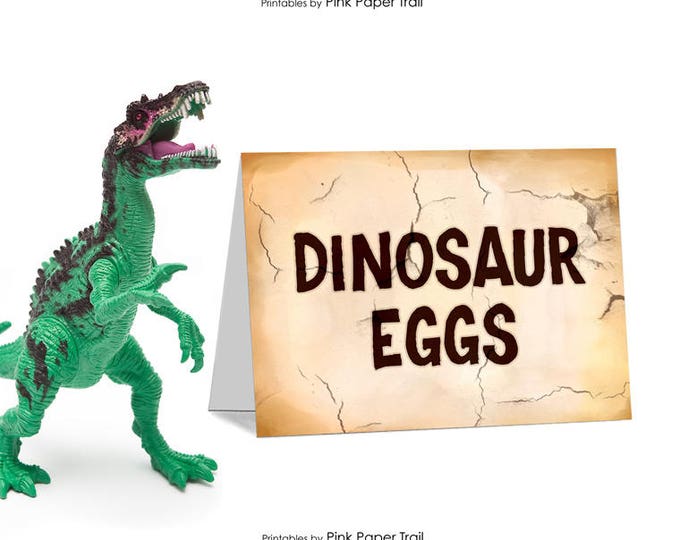 Dinosaur Dig Excavation Paleo Party Table Tent Cards Place Cards Buffet Sign I Will Customize for You Print Your Own