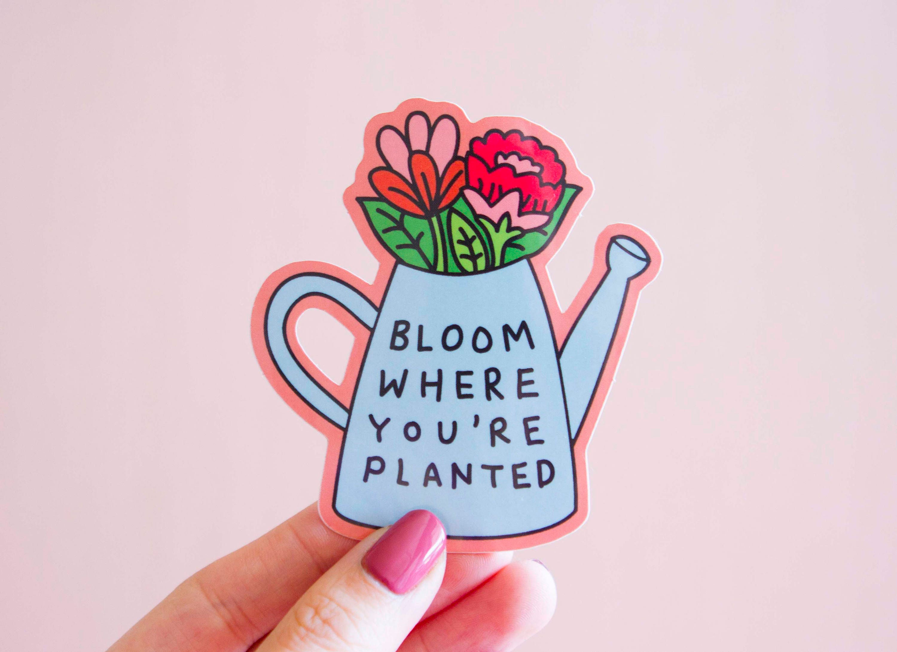 Bloom Vinyl Sticker Bloom Where You�re Planted Bumper