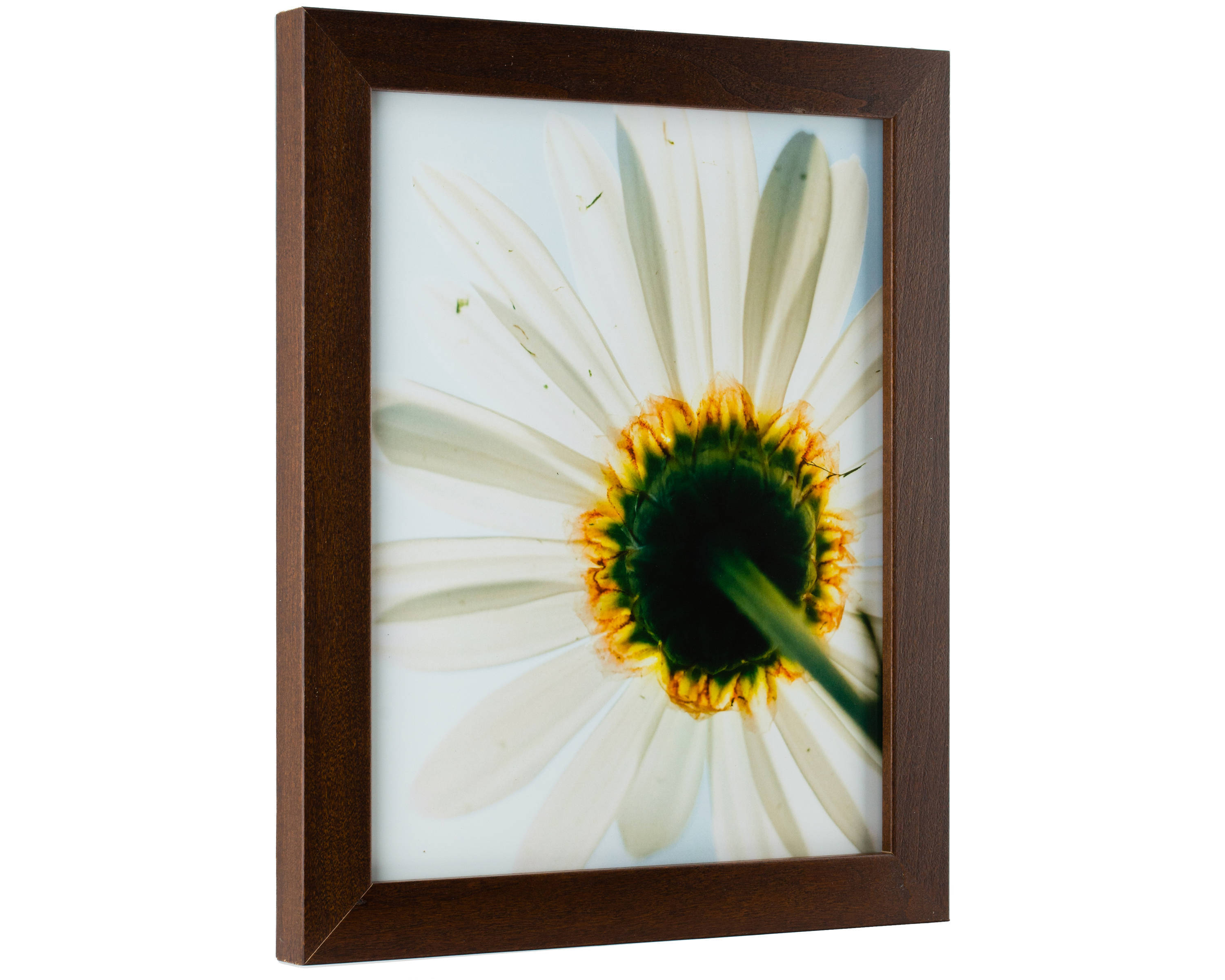 Craig Frames, 24x32 Inch Traditional Brown Hardwood Picture Frame, Real