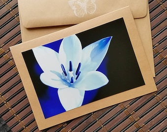 Photo Card Blank Flower Greeting