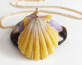 Necklace Mele - yellow sunrise shell necklace - sunrise necklace - Hawaiian sunrise shell - beach jewelry - gift for her (N112)