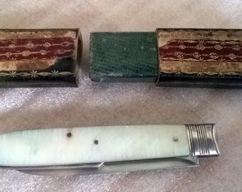 Antique Vintage George 3rd Mother Of Pearl Fruit & Fork Knife With Original Box
