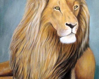 Zimba 50 x 70 - nicole strasser