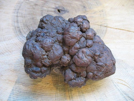 fossilized dinosaur poop for sale