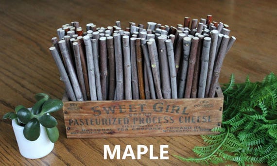 100 6'' Crafting Sticks / Natural Crafting Twigs/