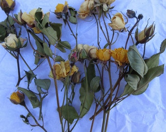 Dried Flowers Dry Mini Rose Bud Stem Yellow Beige Miniature Flower Crown Wreath Floral Bouquet Romantic Rose Wedding Card Embellishment Bulk