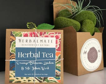 Orange Blossom, Linden, and St. Johns Wort - Night Tea / Té Para Dormir