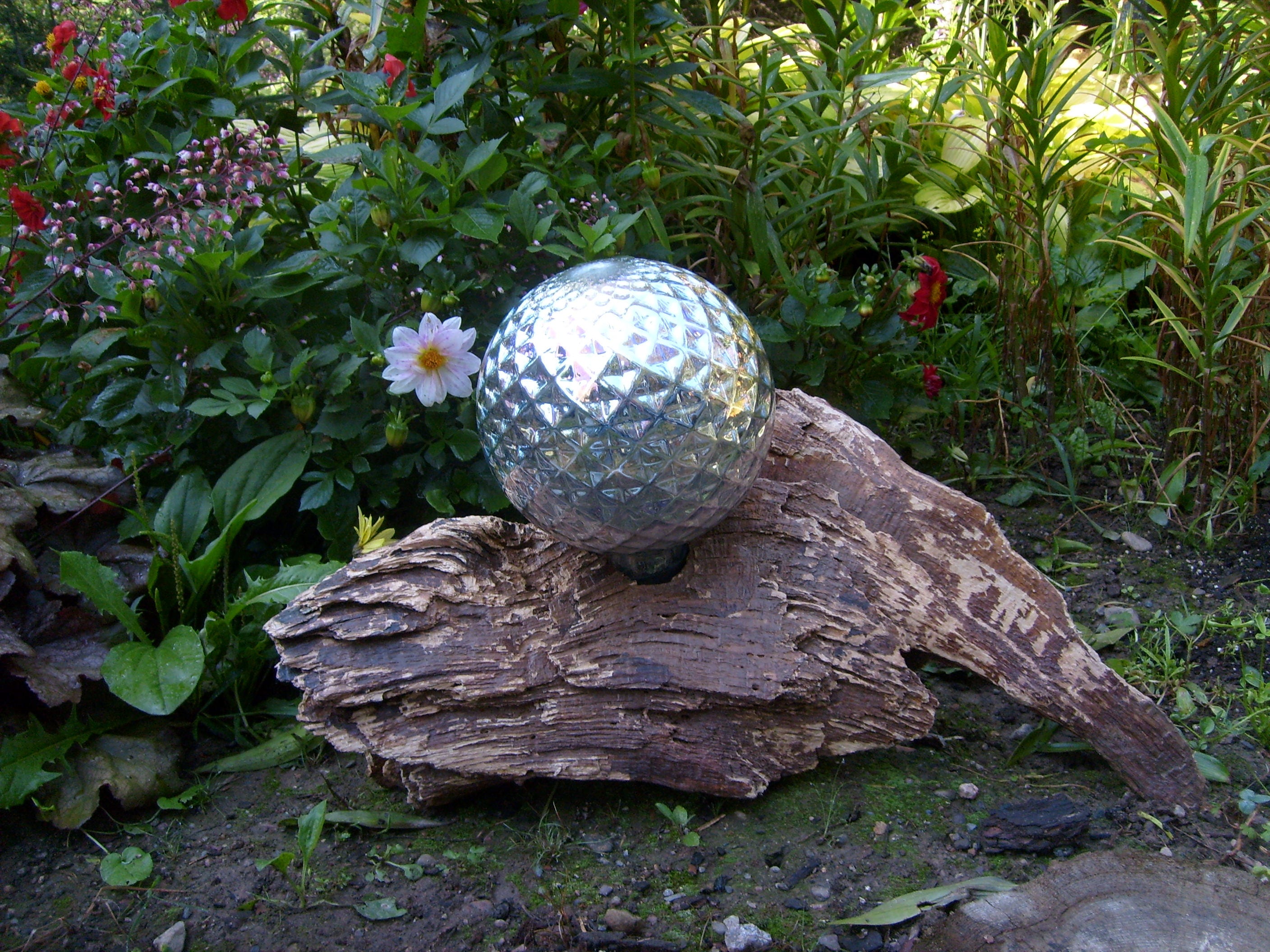 Silver Gazing Ball on Reclaimed Wood