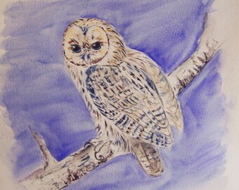 chouette dans la nuit , oiseaux, nature, nuit, dessin, encre, original signé