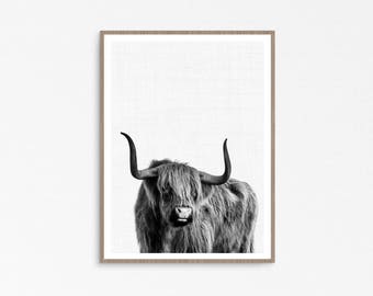 Highland cow print, highland cow, printable cow print, scottish cow, highland cow wallart, scottish gifts, cow photo print, indie style