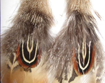 Medium Ring-neck Pheasant Earrings