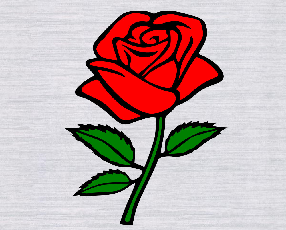 На белом листе бумаги нарисован красный цветок. Нарисовать розу. Рисунок розы для срисовки.