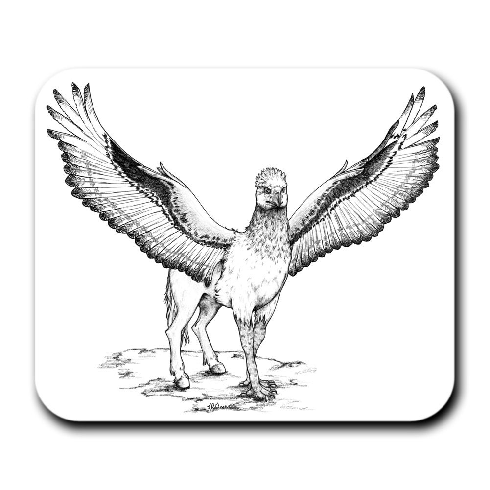 Клювокрыл из гарри поттера рисунок