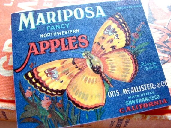 Vintage Fruit Label Pin Brooch Mariposa Fancy by mimiandlucy