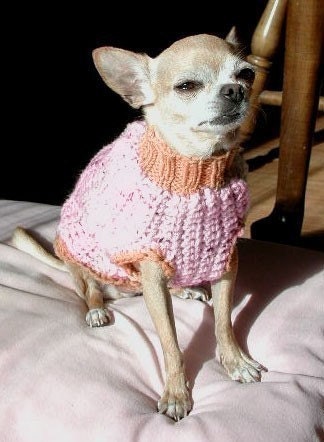 EASY CROCHET DOG SWEATER | Crochet For Beginners