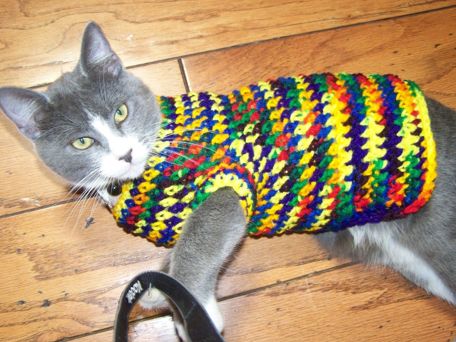 Cat Sweater Crochet – Crochet For Beginners